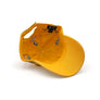 Yellow Willy Surfer