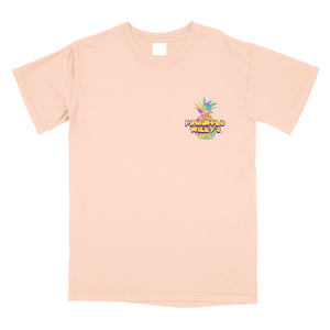 Peach Pastel Pineapple