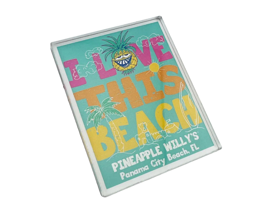 pineapple air plant magnets Acrylic Magnets – Pineapple Willy's Gift Shop