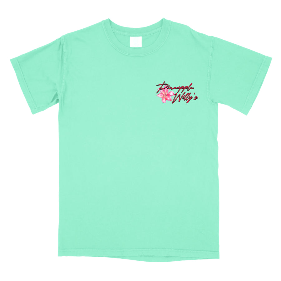 Island Reef Toucan