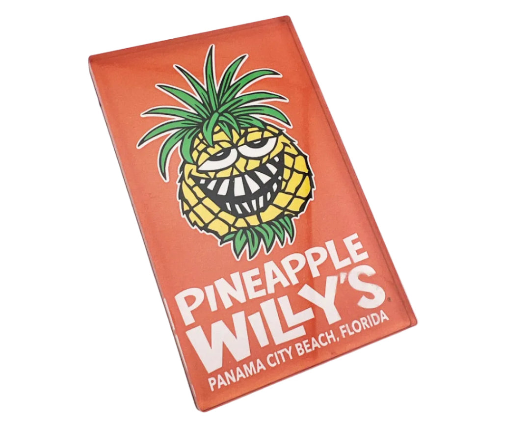pineapple air plant magnets Acrylic Magnets – Pineapple Willy's Gift Shop